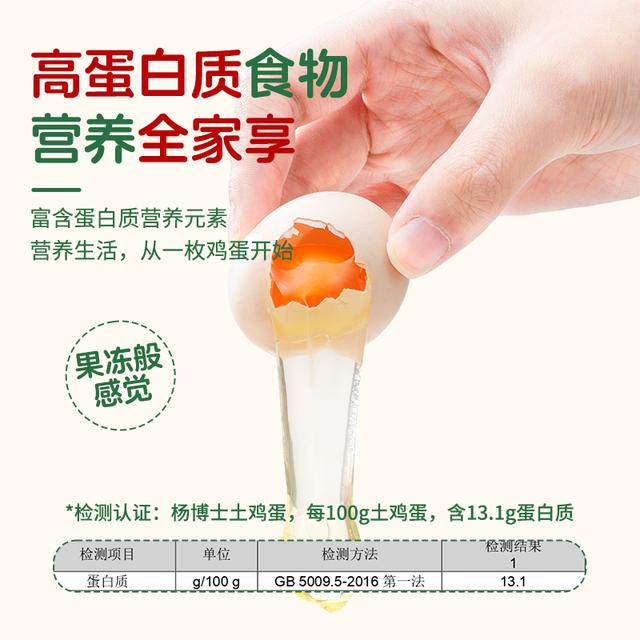 【季定】杨博士鸡蛋：皖南深山里的自然馈赠，正宗农家散养土鸡蛋的美味秘诀！