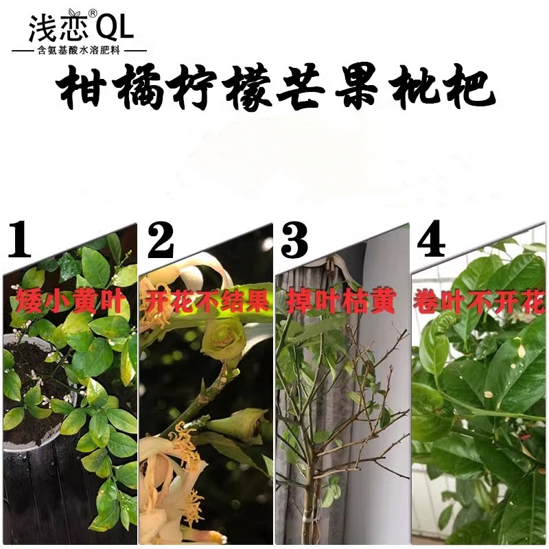 湖北高山当季脐橙：甜橙界的扛把子，一口爆汁的幸福滋味✨