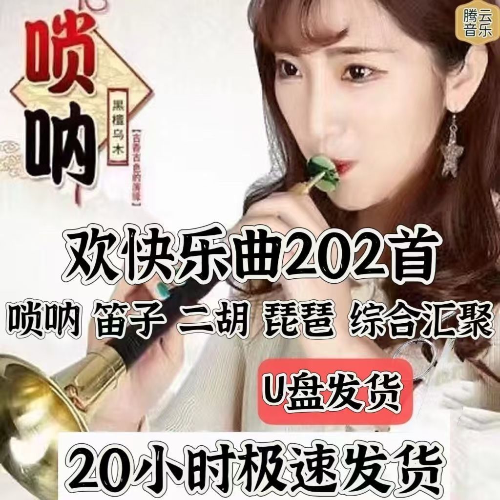 唢呐伴奏2500首U盘：音乐人的宝藏神器，唱响经典旋律！