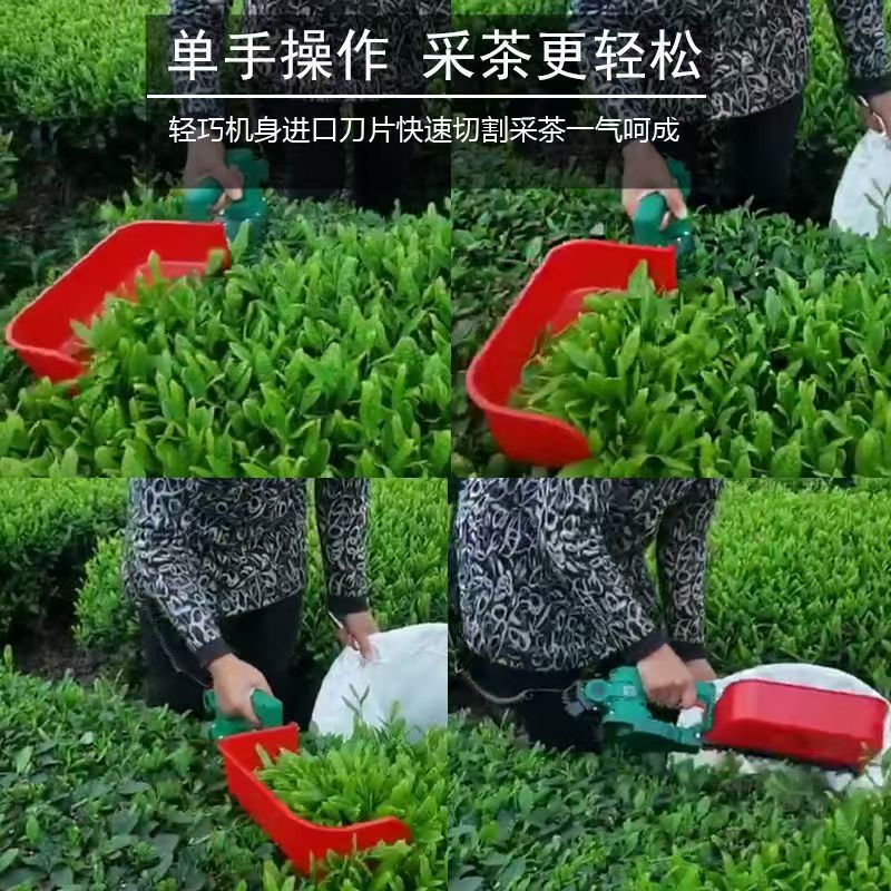新款无刷电动采茶机：茶园里的超级英雄