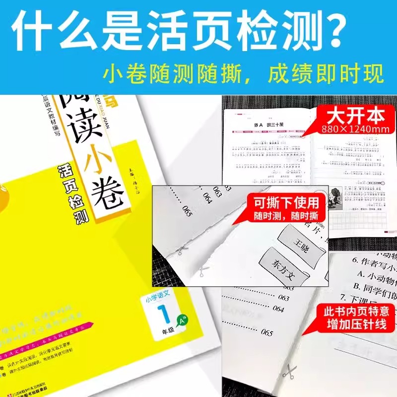 哪里可以买到Pony马？新手必看的购买指南