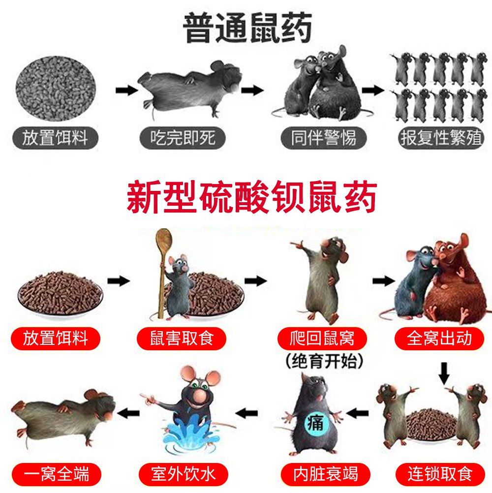 老鼠高效耗子药：一招解决鼠患危机，户外室内全搞定！️
