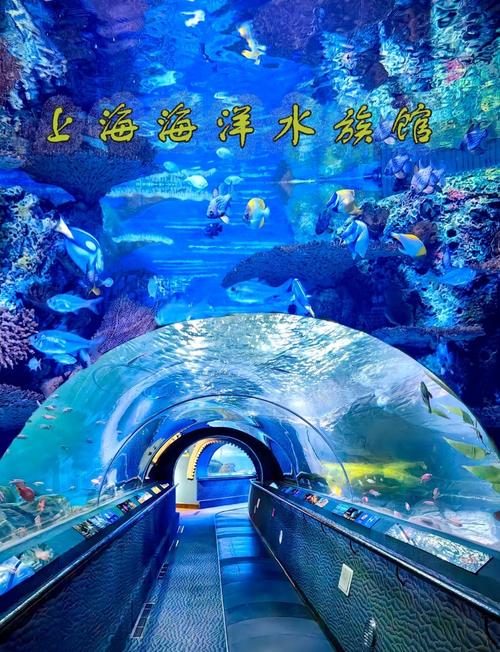 深海水族馆世界,揭秘神秘海底世界的奇妙之旅