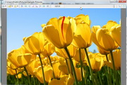 SpReader x641.4.9.1