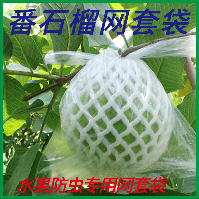 国内域名注册平台有哪些？一网打尽！