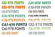 CAI978经典英文字库3.0