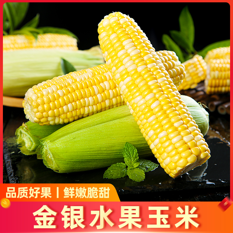 【顺丰包邮】10斤湖北水果玉米，甜蜜爆棚，鲜甜直达舌尖！