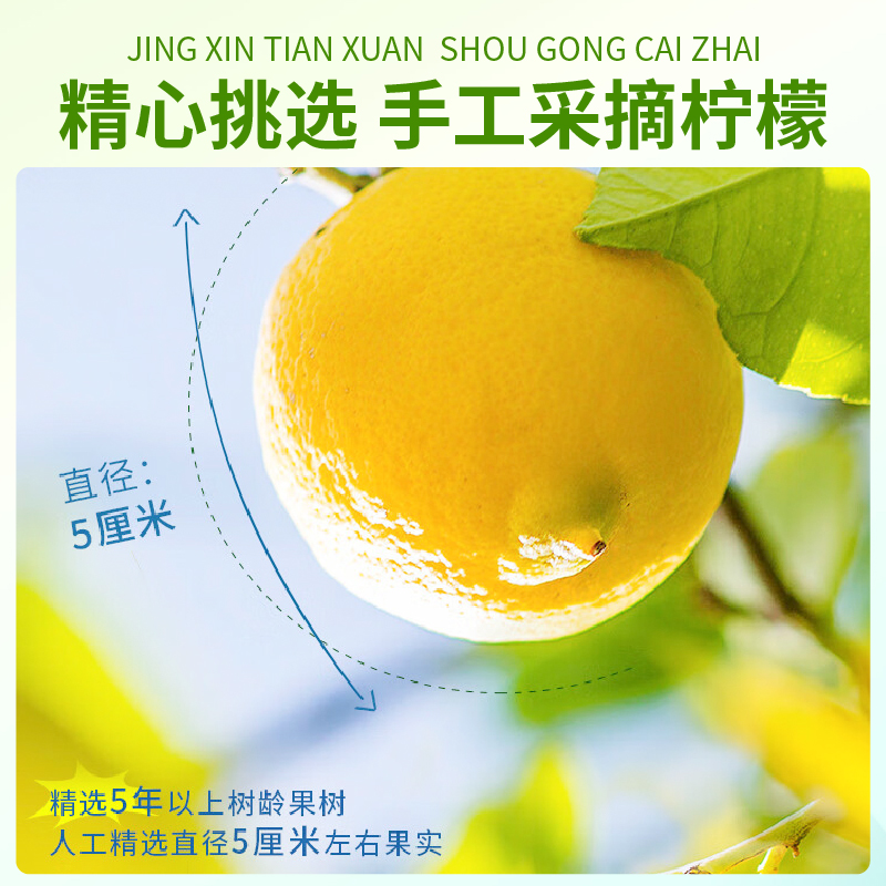蜂蜜，男人的秘密武器？揭秘它的超级功效!