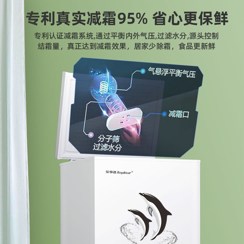 一级节能荣事达小冰柜：家用迷你无霜冷柜，全能守护你的食材新鲜度！
