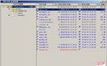 同步专家网络版3.70