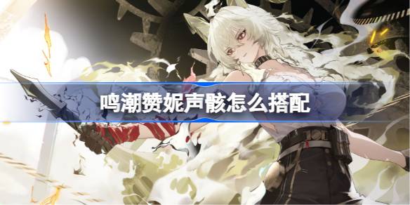 鸣潮赞妮声骸怎么搭配 鸣潮赞妮声骸推荐