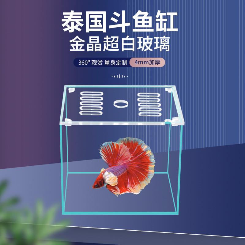 手把手教你设置！斗鱼直播伴侣英雄联盟超详细攻略，告别小白，轻松上手