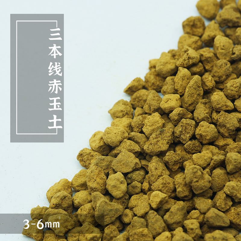 锦上轻石：植物防烂根的秘密武器，园艺达人的必备神器！