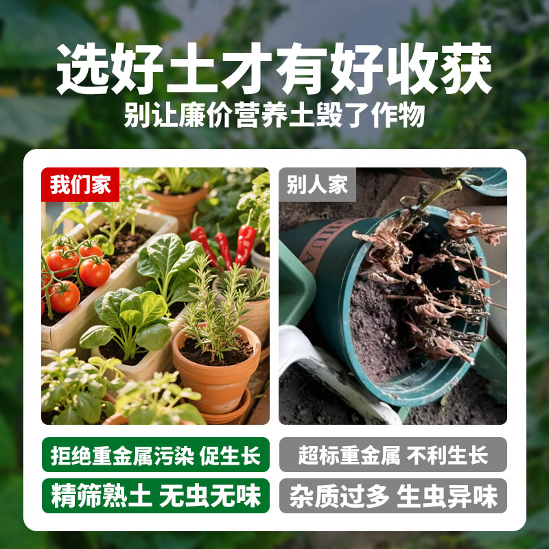 终结腹胀：击退胀气、胀痛、鼓胀，营养师13年经验总结，教你如何自救
