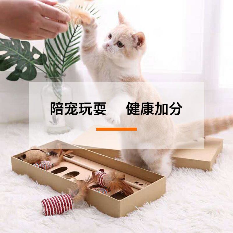 北京人别慌！宠物托管新姿势，上门喂猫遛狗太香了！