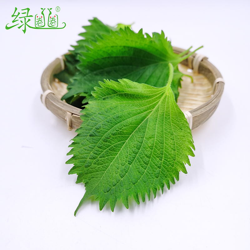 新鲜苏子叶：解锁食材新玩法，让每餐都变成味觉盛宴！