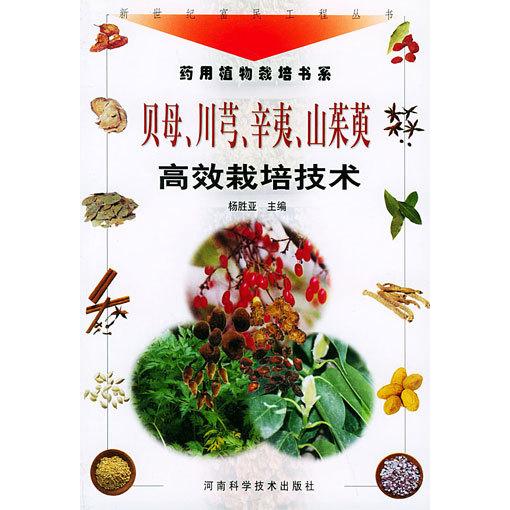 【买2发3】红花新疆草红花泡水喝还能泡脚？当归益母草川芎的秘密大揭秘！