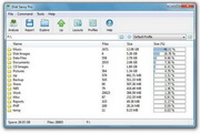 Disk Savvy Enterprise x648.5.16