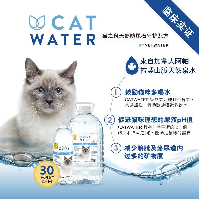 CatWater猫之泉：加拿大进口猫咪专用饮用水，防尿石、避免尿闭，如何让你的毛孩子爱上喝水？