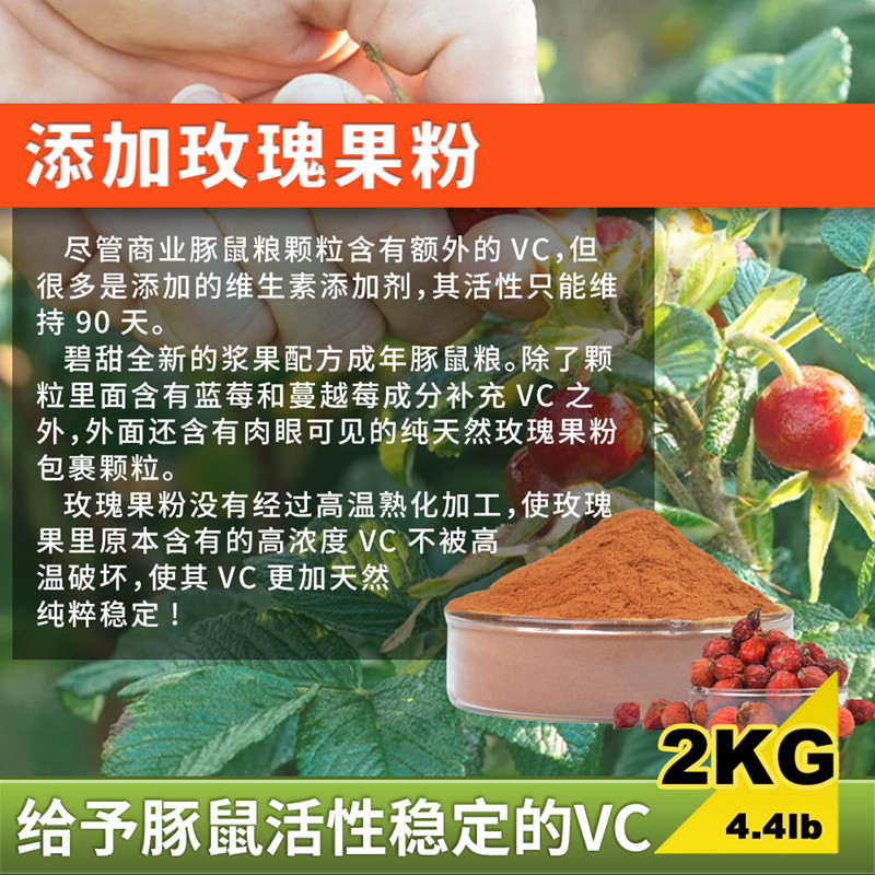 碧甜SweetBi成年豚鼠粮：提摩西草+玫瑰果+蓝莓浆果，让荷兰猪爱上每一口！