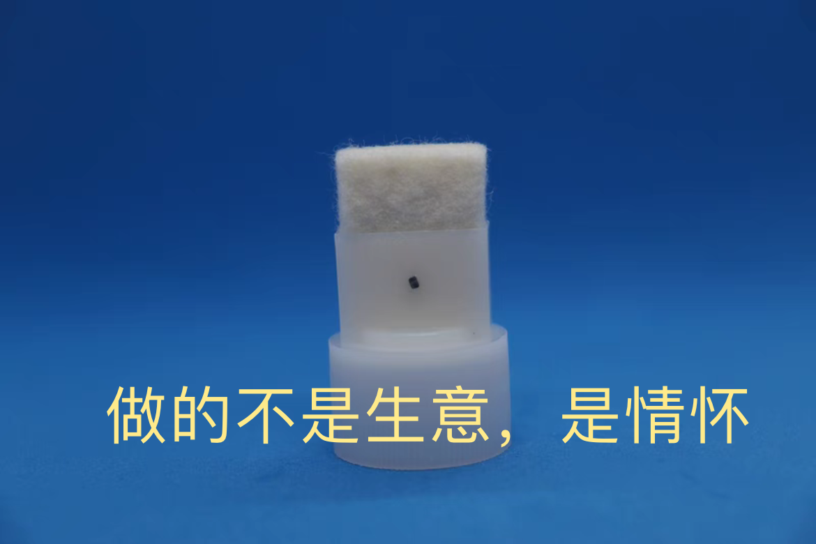 底涂刷头大揭秘：解锁家居DIY新技能✨
