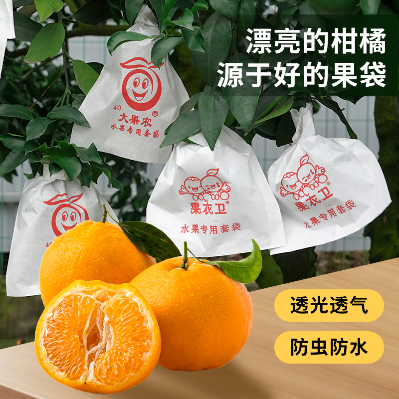 春见耙耙柑套袋秘籍：防鸟防虫，护住你的甜蜜果实！