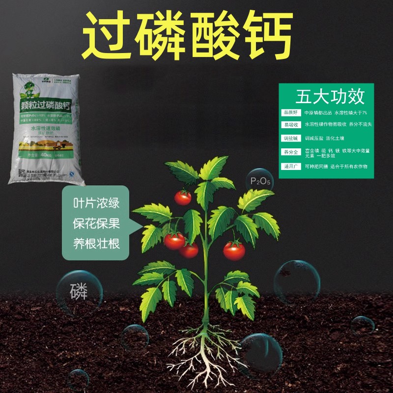 丰乐颗粒过磷酸钙：家庭绿植改良土壤的秘密武器