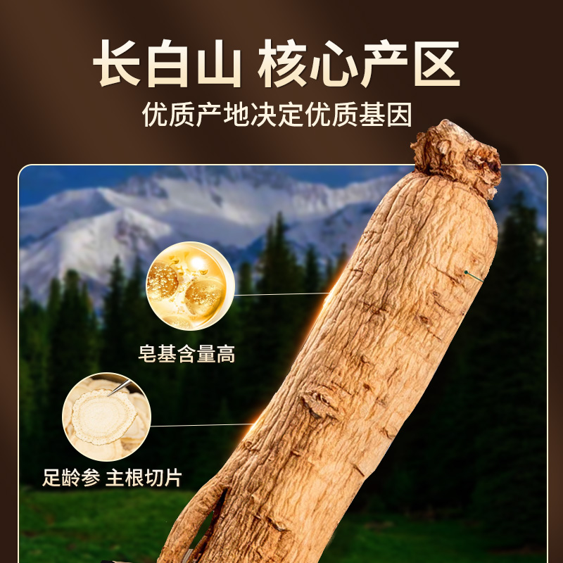 花旗参，你的能量守护神！谁最需要它的超级力量？