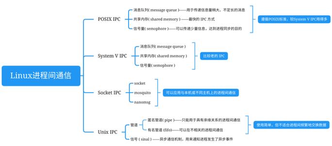 python多进程