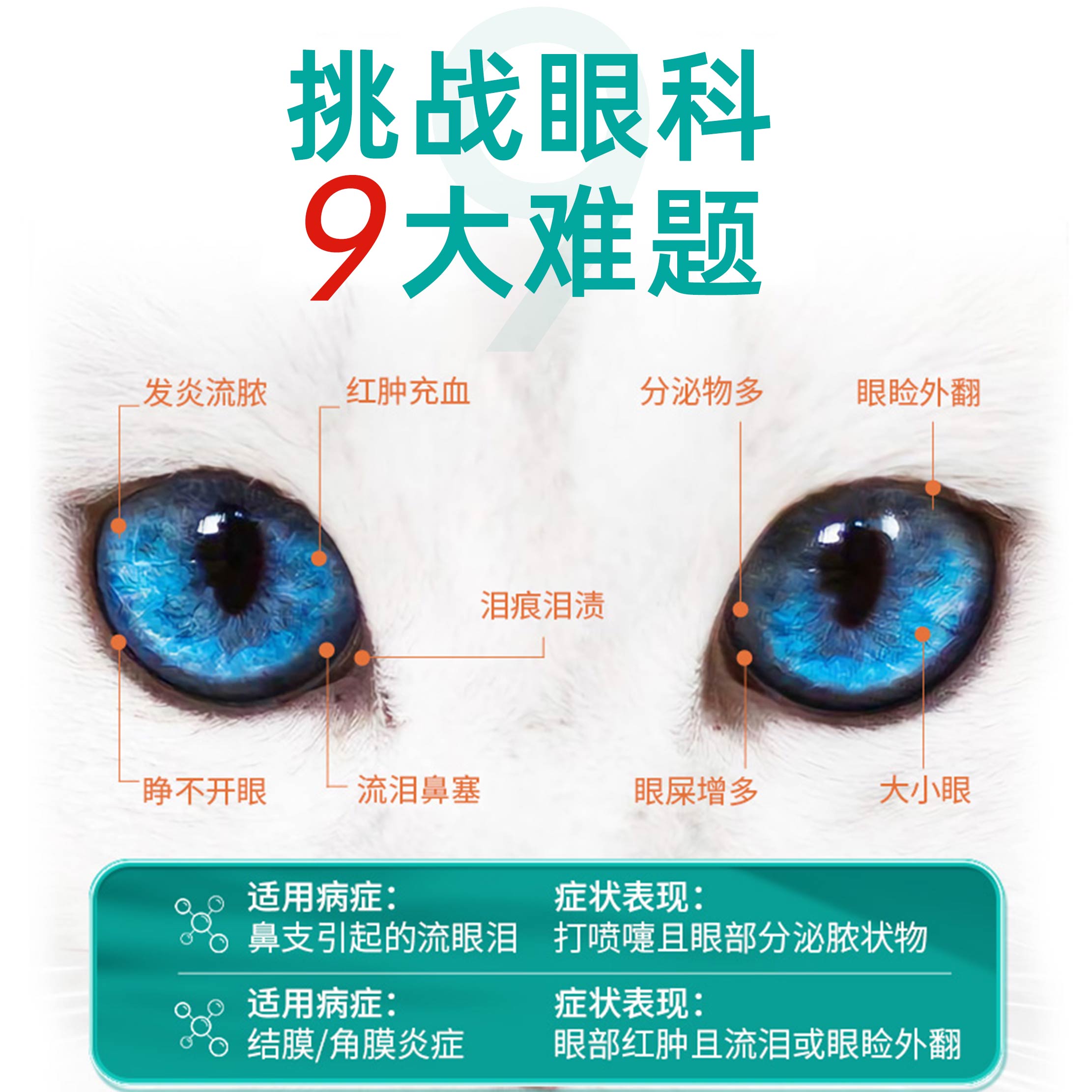 猫眼药水大揭秘：告别宠物眼泪汪汪，守护毛孩子明亮双眼