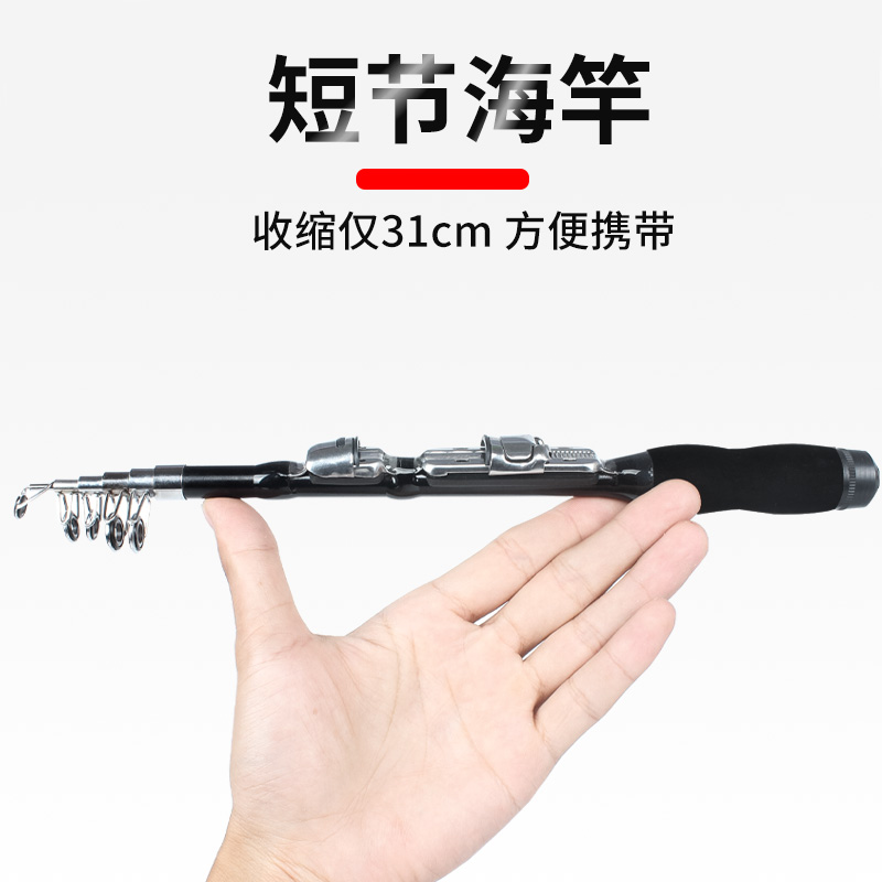 迷你小海竿鱼竿套装：冬季垂钓神器，便携冬钓竿全套，矶竿路亚海杆抛竿，钓鱼达人的必备之选！✨