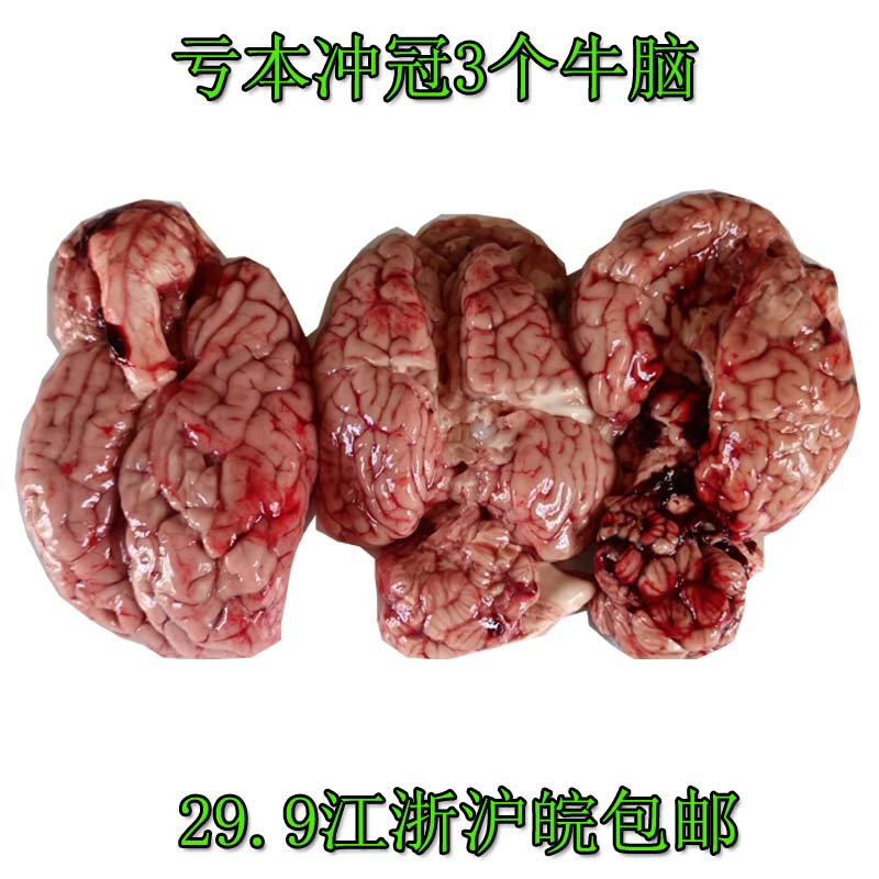 牛脑新鲜2副：解锁火锅烧烤新滋味，鲜美脑髓不容错过！
