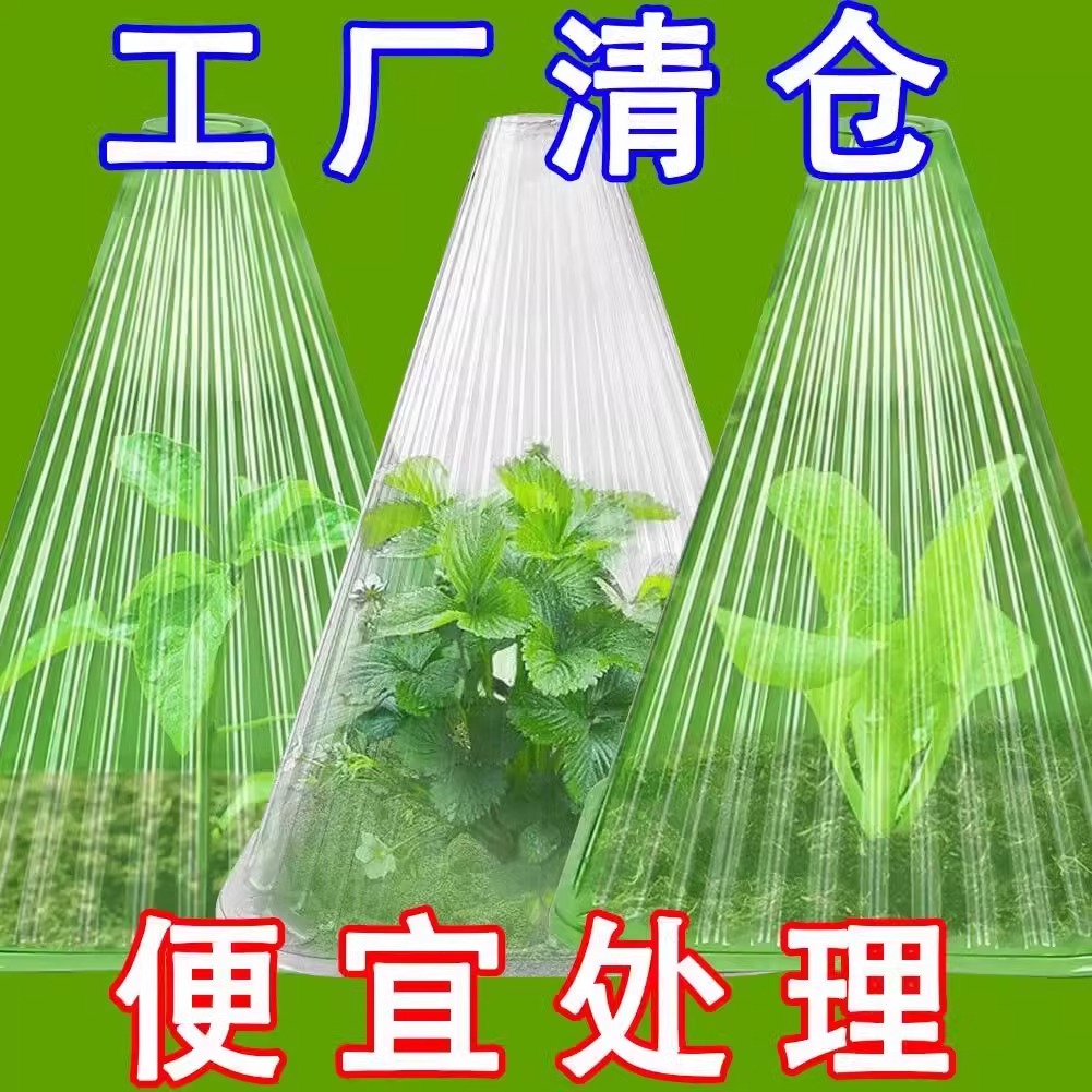 植物育苗保护罩：让菜苗幼苗安全过冬的神器️
