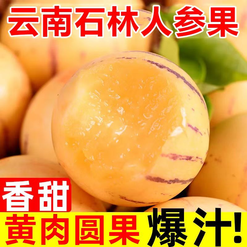 云南石林人参果：神奇的七彩黄肉水果，尝鲜必备！