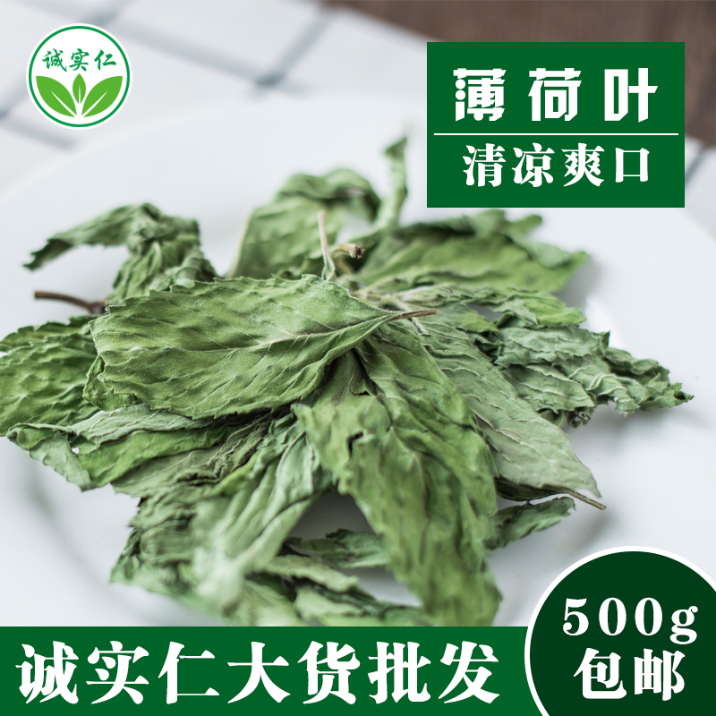 救命！这箱薄荷叶太绝了！泡水调酒都香到爆