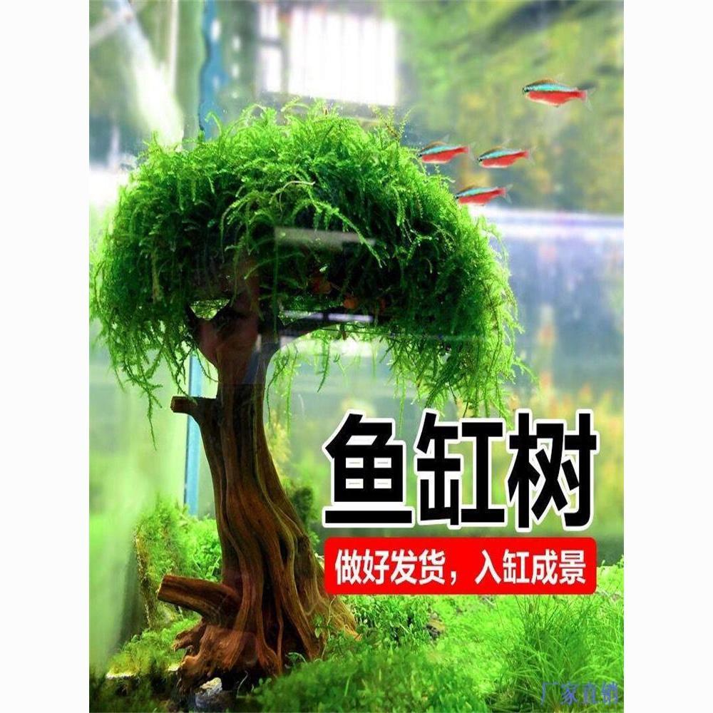 历史上的水与北京城：揭秘古都的生命线
