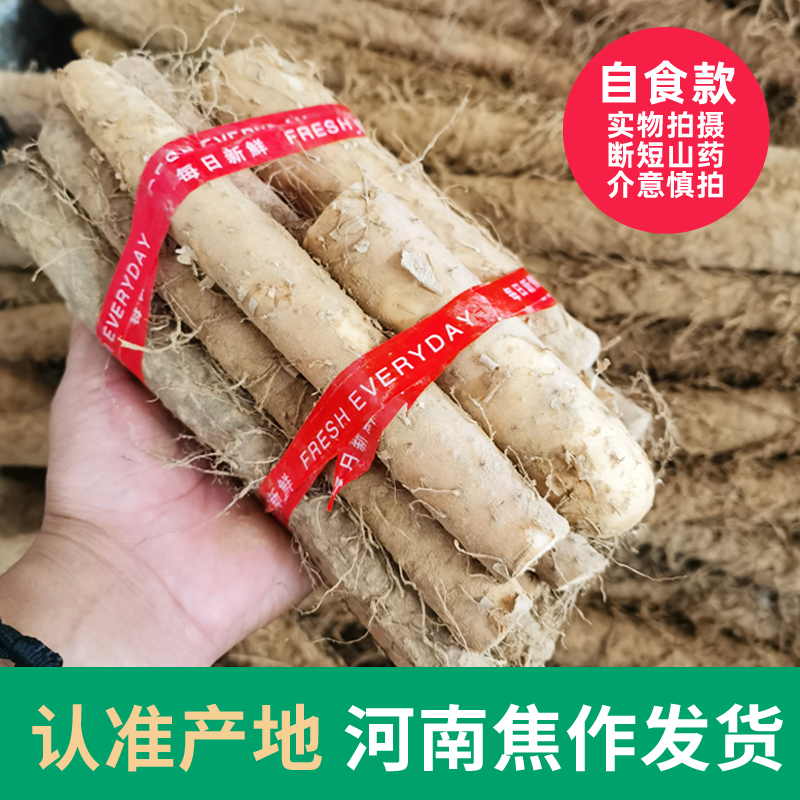 新鲜蔬菜淮山药：怀山白玉山药，顺丰包邮，健康美味不容错过!