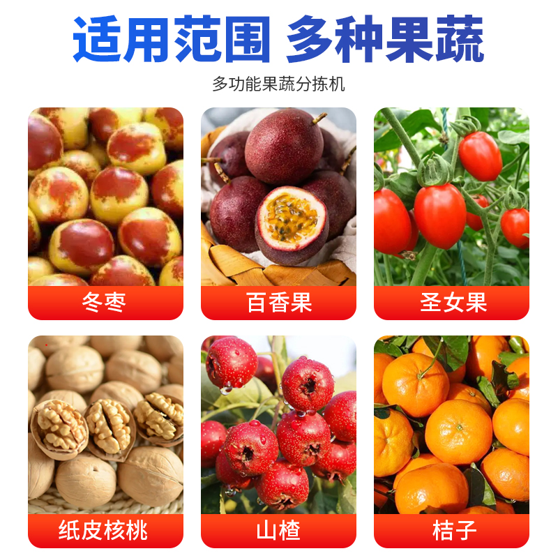 新款全自动李子选果机，水果分拣新革命，高效省心，告别繁琐！