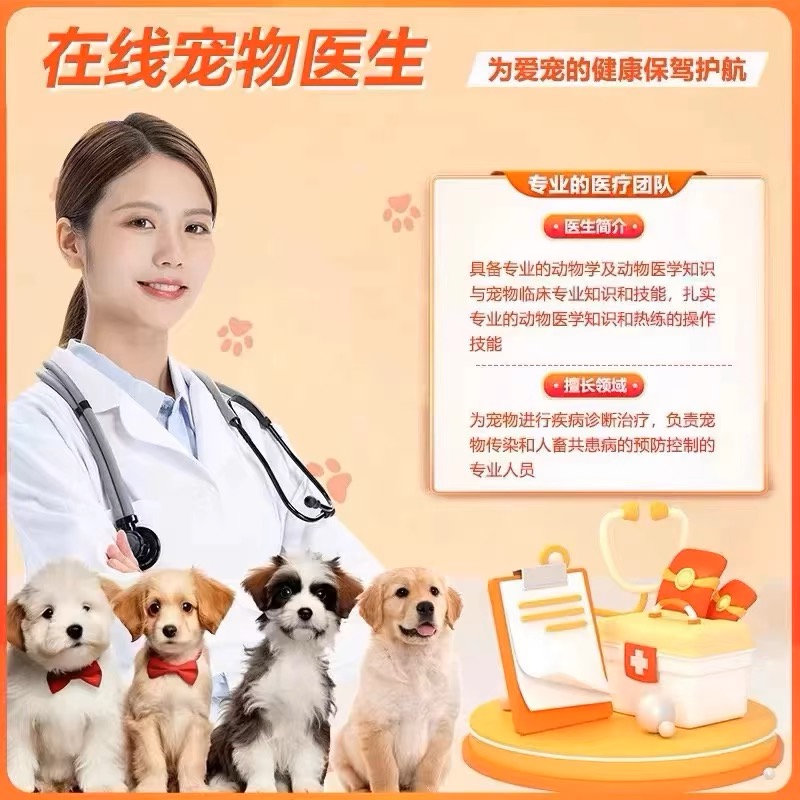 陕西犬舍纯种五黑犬：寻找你的专属猎犬伙伴，虎头虎斑色狗狗全揭秘！