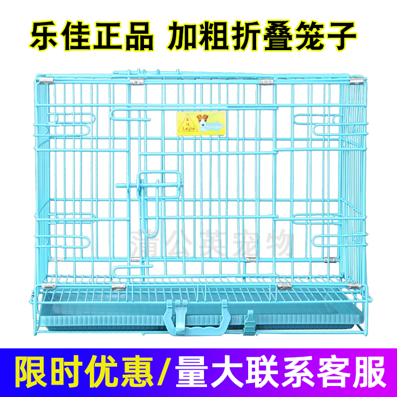 鸽子笼养鸽子专用笼：新手必看！鸽子饲养全攻略，养鸽不踩坑！