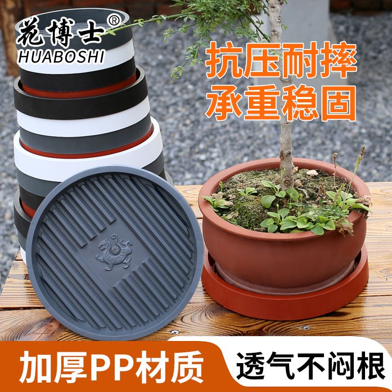 花博士特大号透气防烂根花盆托盘：拯救植物新手的神器✨