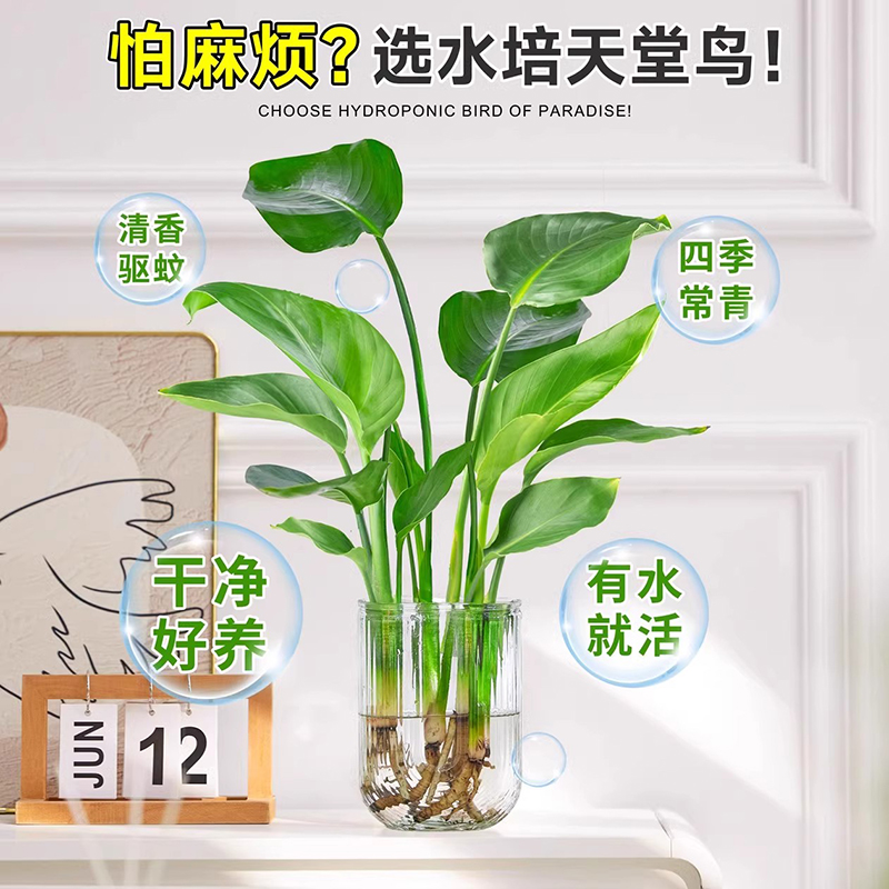 耐洁窄口瓶Teflon FEP：实验室里的“金刚不坏”？