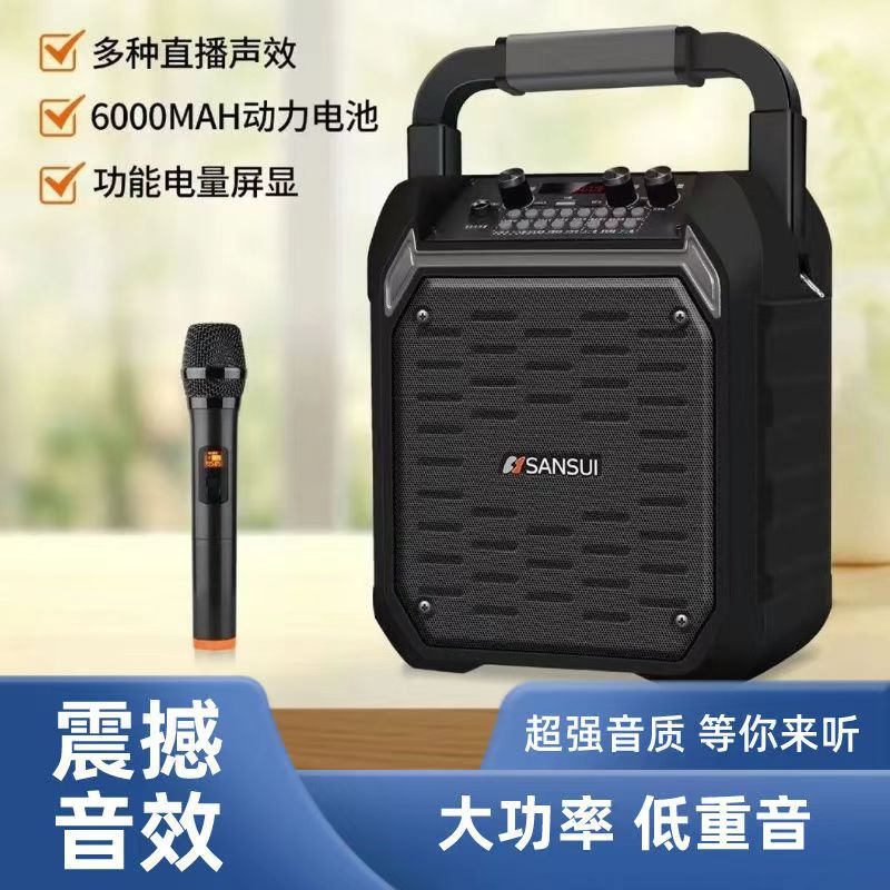 山水SS10蓝牙音箱：户外派对神器，低音炮震撼全场，广场舞K歌必备！