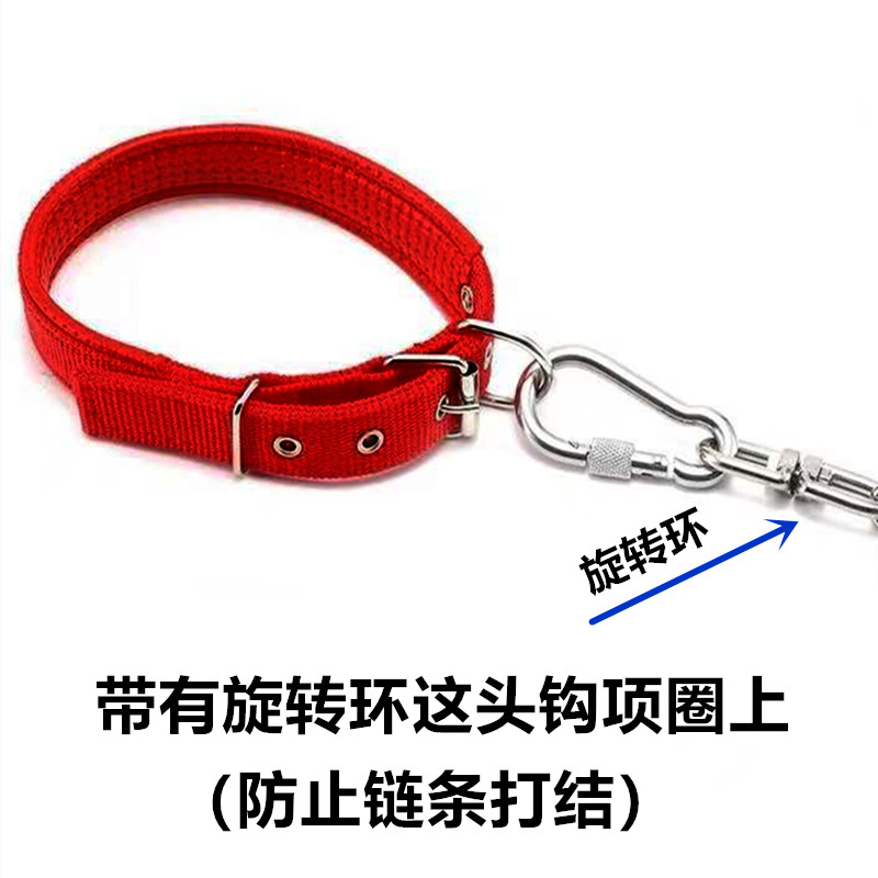304不锈钢狗链 vs 铁链：哪种更适合你的泰迪或金毛？