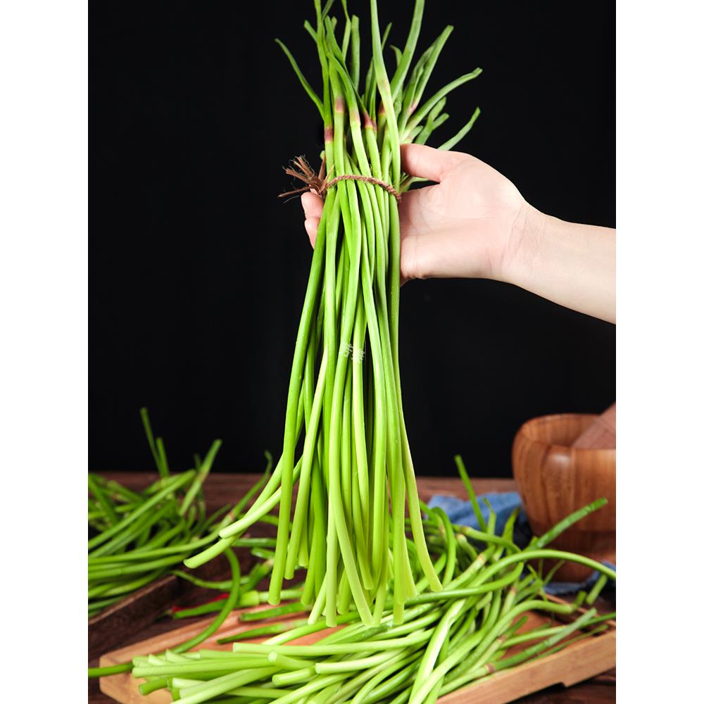 2025年蒜苔新鲜5斤蒜薹，当季蔬菜薹蒜毫青蒜苗，农家自种短红帽蒜台，吃出春天的味道!