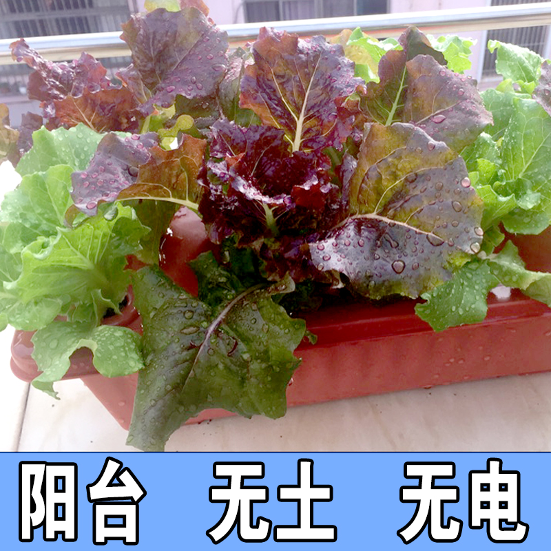 无土栽培设备植物工厂水培管道式叶菜种植架种植槽蔬菜水培槽：未来的农业革命！