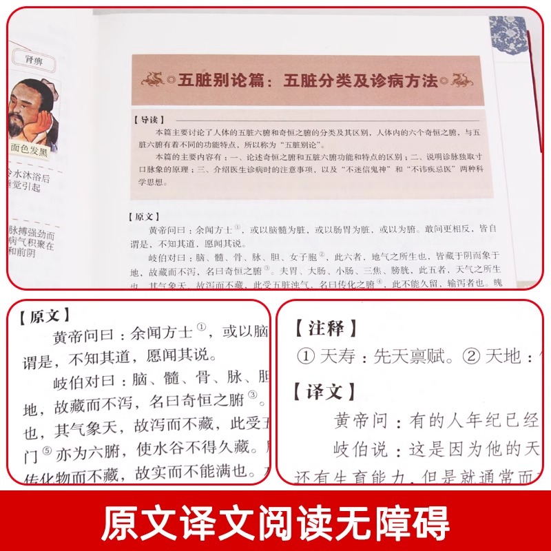 揭秘：牙音真的是后槽牙发音吗？