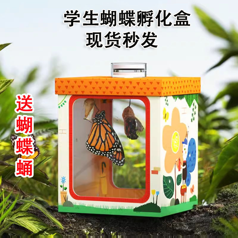 超火的蝴蝶饲养套装，变身小小昆虫学家！✨