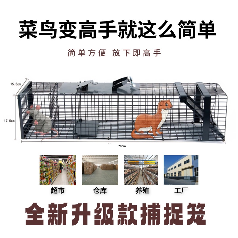 捕猫笼大揭秘：流浪猫的人道救助神器，全自动捕捉养猫笼全解析！