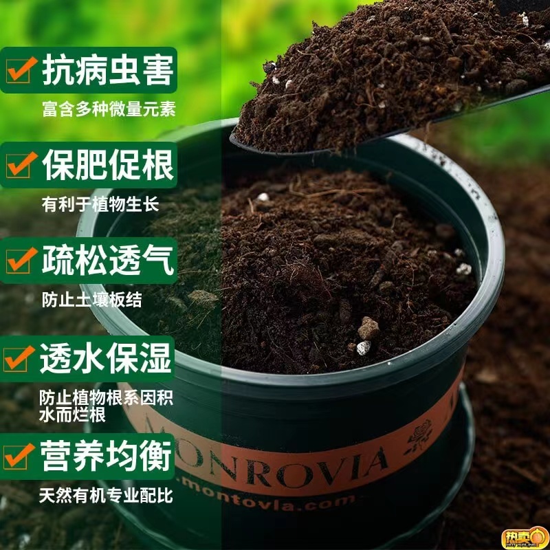 长沙天宝兄弟免排队攻略：轻松享受天宝包厢的美食盛宴！